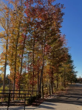 568650ad-bdd9-4818-bc2f-21d2fc064db7