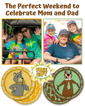 74a00215-e4fa-4384-9724-73769f81cdc7