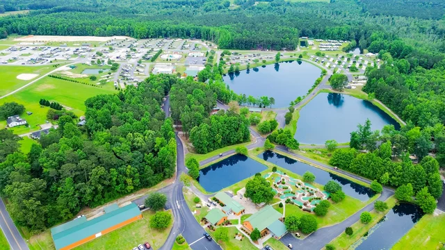 aerial